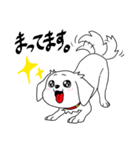 しろくろぺっと（個別スタンプ：11）