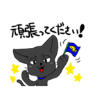 しろくろぺっと（個別スタンプ：16）