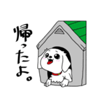 しろくろぺっと（個別スタンプ：29）
