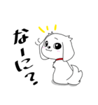 しろくろぺっと（個別スタンプ：33）