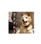茶々 的 日常（個別スタンプ：9）
