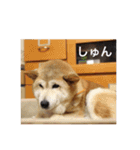 茶々 的 日常（個別スタンプ：14）