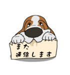 バセットハウンド(犬) 16（個別スタンプ：16）