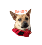 lalaladog（個別スタンプ：4）
