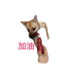 lalaladog（個別スタンプ：7）