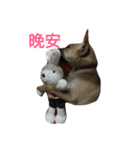 lalaladog（個別スタンプ：8）