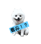 Beep Beep（個別スタンプ：1）