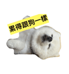 Beep Beep（個別スタンプ：3）