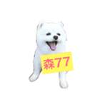 Beep Beep（個別スタンプ：4）
