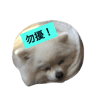 Beep Beep（個別スタンプ：5）