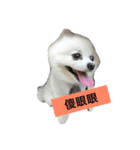 Beep Beep（個別スタンプ：6）