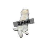 Beep Beep（個別スタンプ：7）