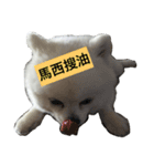 Beep Beep（個別スタンプ：8）