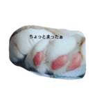 BSKW（個別スタンプ：1）