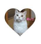 BSKW（個別スタンプ：7）