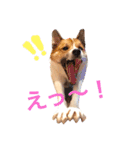 Happy Dog Happy Life I（個別スタンプ：5）