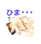 Happy Dog Happy Life I（個別スタンプ：18）