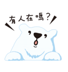 White Shinning Bear（個別スタンプ：17）