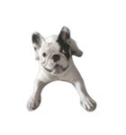 French bulldog Arnold（個別スタンプ：23）
