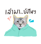 Fujisan : Funny crazy cat（個別スタンプ：7）