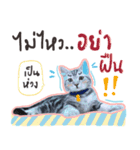 Fujisan : Funny crazy cat（個別スタンプ：35）