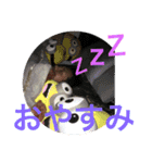 隼人のスタ2（個別スタンプ：14）