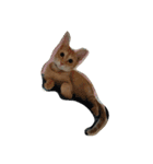 MoMo cat's（個別スタンプ：7）