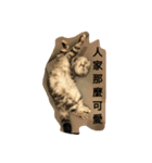 i am a little cat（個別スタンプ：6）