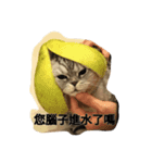 i am a little cat（個別スタンプ：7）