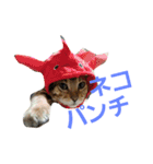 風雅と蕾雅（個別スタンプ：13）