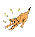 Cheetah's cat-like life（個別スタンプ：5）