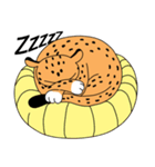 Cheetah's cat-like life（個別スタンプ：24）