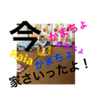 らいあの日常（個別スタンプ：31）