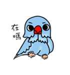 a pu tou（個別スタンプ：1）