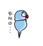a pu tou（個別スタンプ：17）