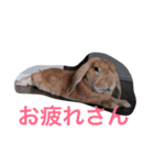 モカ＆パフ（個別スタンプ：8）