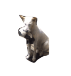 お気楽な犬はな2（個別スタンプ：2）