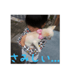 serenchann（個別スタンプ：8）