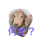 Okada brothers rra（個別スタンプ：19）