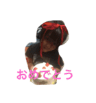 Okada brothers rra（個別スタンプ：23）