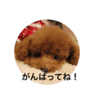 ニコ＆ポコ（個別スタンプ：6）