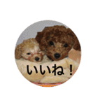 ニコ＆ポコ（個別スタンプ：7）