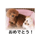 ニコ＆ポコ（個別スタンプ：8）