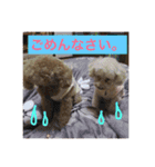 ニコ＆ポコ（個別スタンプ：15）