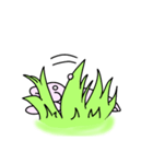 ぶりうさ（個別スタンプ：5）