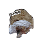 Cream1021（個別スタンプ：1）