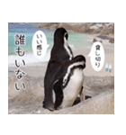 1173(いい波)サーフィン、ペンギンさん（個別スタンプ：2）