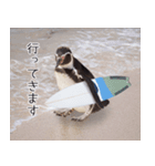 1173(いい波)サーフィン、ペンギンさん（個別スタンプ：9）