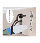 1173(いい波)サーフィン、ペンギンさん（個別スタンプ：18）