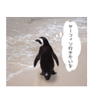 1173(いい波)サーフィン、ペンギンさん（個別スタンプ：30）